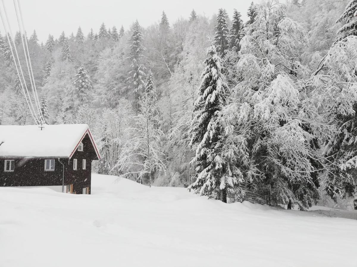 Apartmán Saegemuehle Eschachthal Buchenberg  Exteriér fotografie