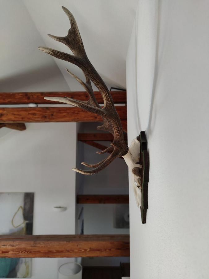 Apartmán Saegemuehle Eschachthal Buchenberg  Exteriér fotografie
